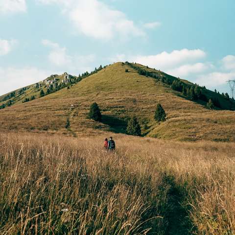 Monte Ario